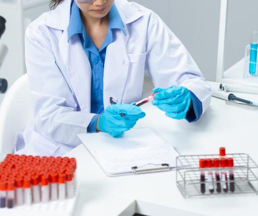 Attività di laboratorio